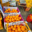 정희농장 이미지