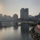 해물생각