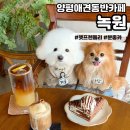 신대길 | [녹원] 양평애견동반카페 서울 근교 한옥 감성 펫프렌들리 실내 카페 추천
