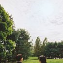 어도러블(Adorable) | 어도러블 스냅 후회 없는 내돈내산 후기, 빈티지 캐주얼 웨딩 스냅 추천