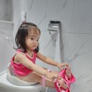 두돌아기 배변훈련 모엘루베베 변기커버로 대성공 후기