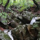 별이랑펜션 이미지