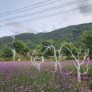 주식회사 백담 이미지