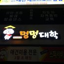멍멍대학 이미지