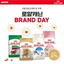 로얄체형관리 이미지