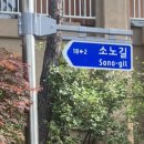 소노길 브레이크뉴스