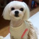청수탕 이미지