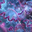 Seed of Li 이미지