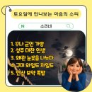 소리(Sound) | 매주 토요일에 만나 보는 § 소리네 마음의 소리 §