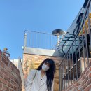 데이스토리 Daum카페