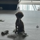 춘리마라탕 범어점 이미지