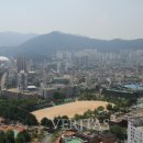 알파교대