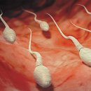 조희주비뇨의학과의원 이미지