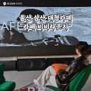 세븐일레븐 울산삼산점 | 울산 삼산 대형카페 통창뷰 카페비비라운지 후기