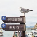 청실홍실여행사 | 백령도 대청도 2박3일 가족여행 | 청실홍실여행사 패키지 버스투어 총평 후기