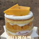 [티나케이크 제주시점] 제주 케이크 맛집 제주애플망고 케이크 내돈내산 후기