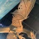 앨리약국 | [도쿄여행]DAY4 해리포터 스튜디오→ 신주쿠 맛집·카페추천, 3D고양이 후기