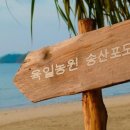 육일농원 이미지