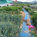 (주)삼동 이미지