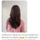 메이뉴헤어