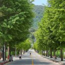 민둥산로 입구 이미지