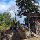 송호관광지 이미지