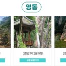 영동 이미지
