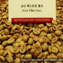 카페2046 Daum카페