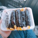 도창농장 | 코엑스 아쿠아리움 , 롯데 아쿠아리움 내가선택한곳은?