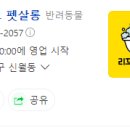 리꼬리꼬펫살롱 이미지