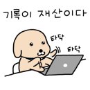 예리미네젓갈 이미지