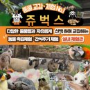 남동128 | 인천동물원 쥬벅스 서창동 아이랑 실내 데이트, 5살 조카도 반한 먹이주기 체험 후기