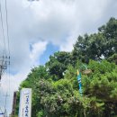 군자도서관 | 시흥 군자도서관 이용방법/책읽기 좋은곳 /워킹맘의일상