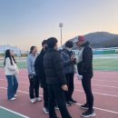안성종합운동장 네이버블로그
