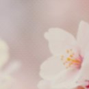 지희네펜션 이미지