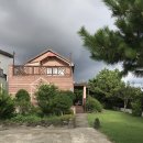 벽돌집순이 이미지