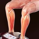 온체헬스스토어 이미지