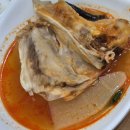 강구회 | 대구 용산역 회 맛집 강구회 | 모둠회 구성·가격·분위기까지 솔직 후기