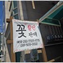 플라워안나