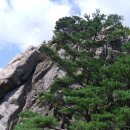 해인초등학교 이미지