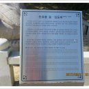 메기대감 이미지