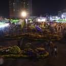 마산가고파 국화축제장 이미지