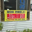 나리촌식당 | 울릉도 나리분지 산채정식 맛집 산나물 가득한 나리촌 식당 후기
