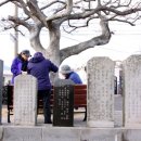 염전마을 비석 이미지