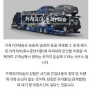 오토월드㈜렌트카 | 제주전기차캐리어탁송)안산시 오토돔에서제주한림 중고차매매탁송 실시간이동경로방 제주올레전국탁송...