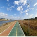 금호강변 이미지