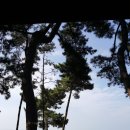 신촌민박 이미지