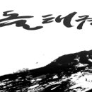 차돌태권도장 이미지