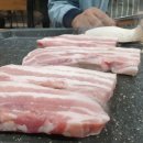 나르는 꿀꿀이 이미지