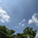 陪你遇见浪漫 작은 도시의 여름에서 너와 함께 낭만을 마주했어(230625~230701) : 중국연수후기(3/4)+(4/4)